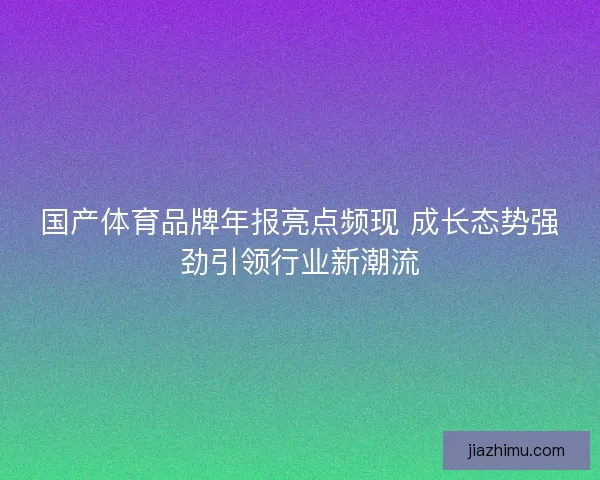 国产体育品牌年报亮点频现 成长态势强劲引领行业新潮流